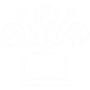 connectivity