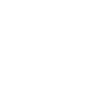 video conference